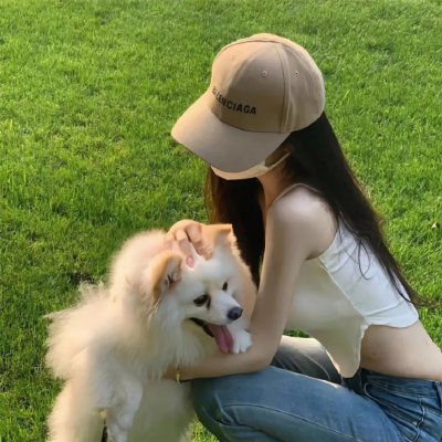 野马齐格和爱丽丝国语